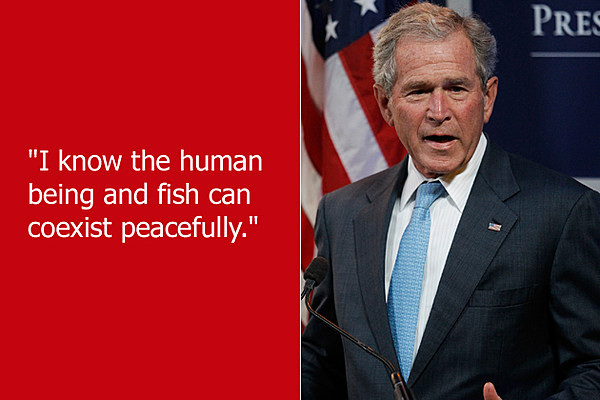 George W Bush Quotes Funny
 Dumb Celebrity Quotes – George W Bush