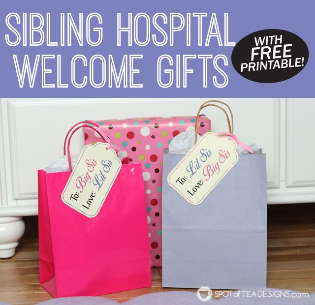Gift Ideas For Big Sister From New Baby
 Big Sister and Little Sister Wel e Gifts With Free