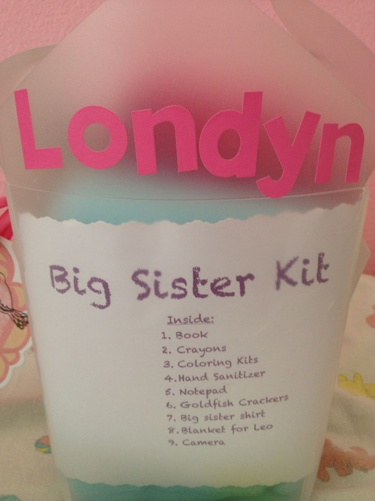 Gift Ideas For Big Sister From New Baby
 Big Sister Kit baby shower t Cute idea for the big