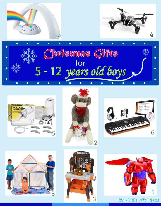 Gift Ideas For Boys Age 12
 Gift Ideas for 5 12 Years Old Boys Christmas Edition