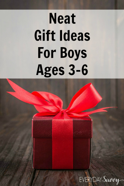 Gift Ideas For Boys Age 5
 Neat Gift Ideas for Boys Ages 3 4 5 & 6