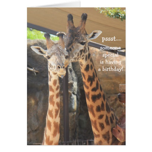 Giraffe Birthday Card
 Giraffes Birthday Card for someone special