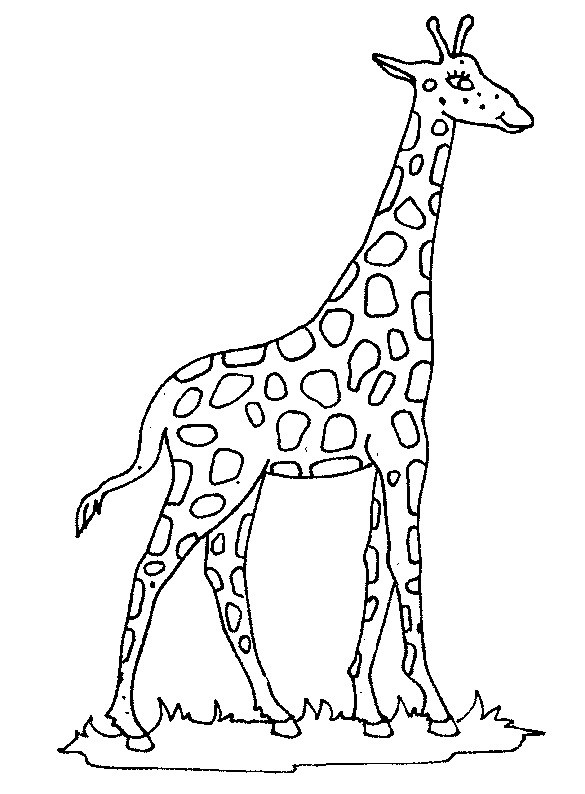 Giraffe Coloring Pages Printable
 Kids n fun