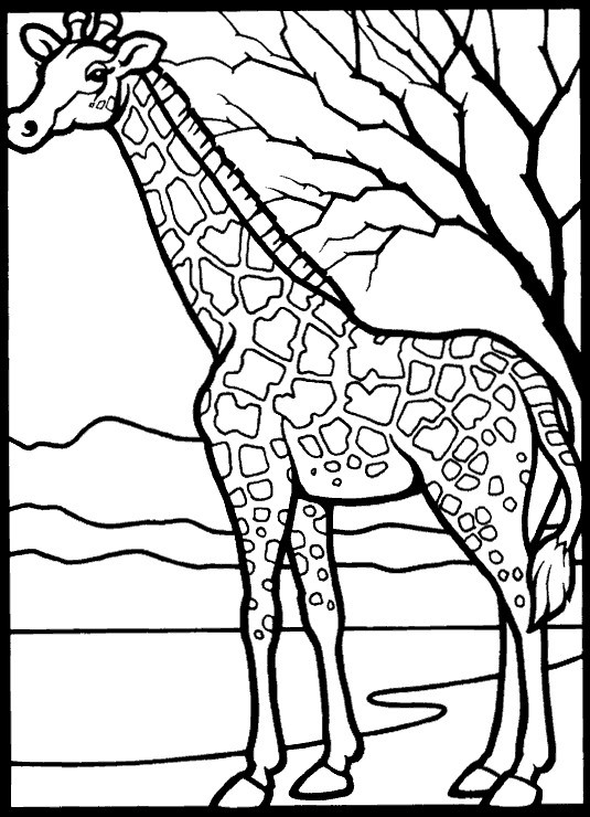 Giraffe Coloring Pages Printable
 Kids n fun