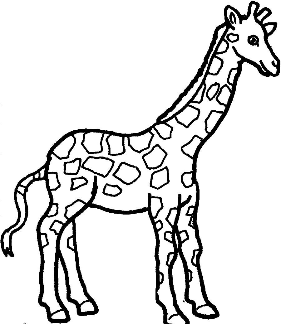 Giraffe Coloring Pages Printable
 Baby Giraffe Coloring Pages Bestofcoloring