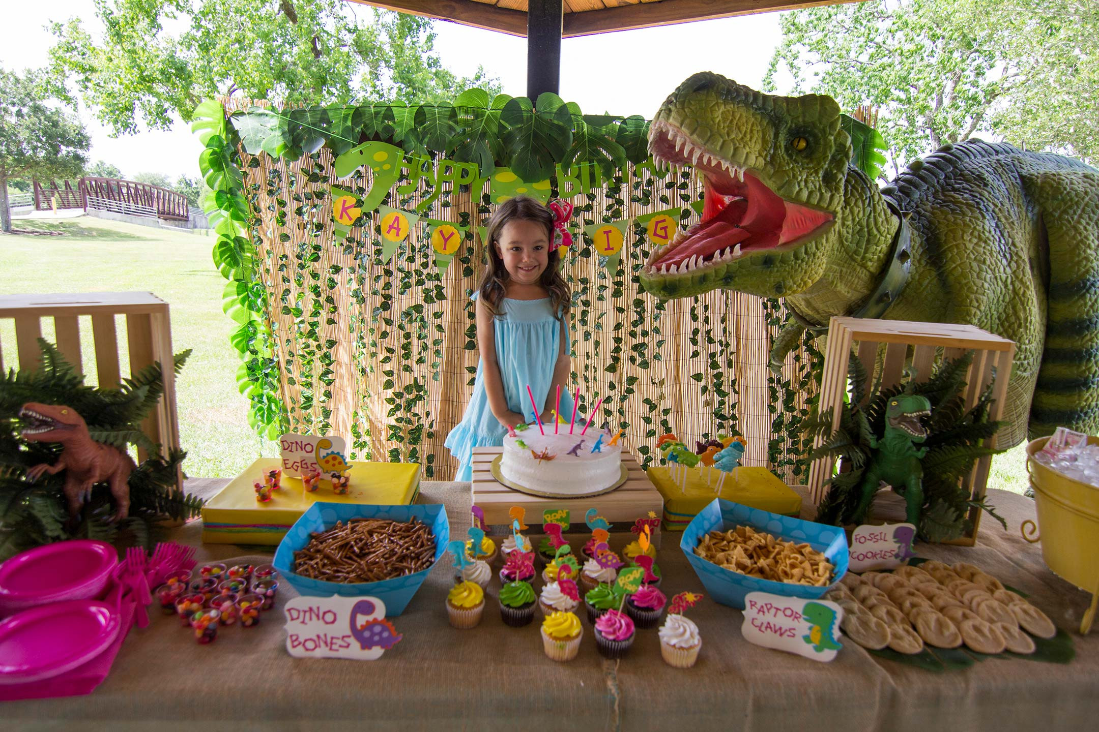 Girl Dinosaur Birthday Party
 Tag Archive for "Dinosaur Birthday Party"