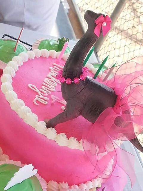 Girl Dinosaur Birthday Party
 Best 25 Girl dinosaur birthday ideas only on Pinterest
