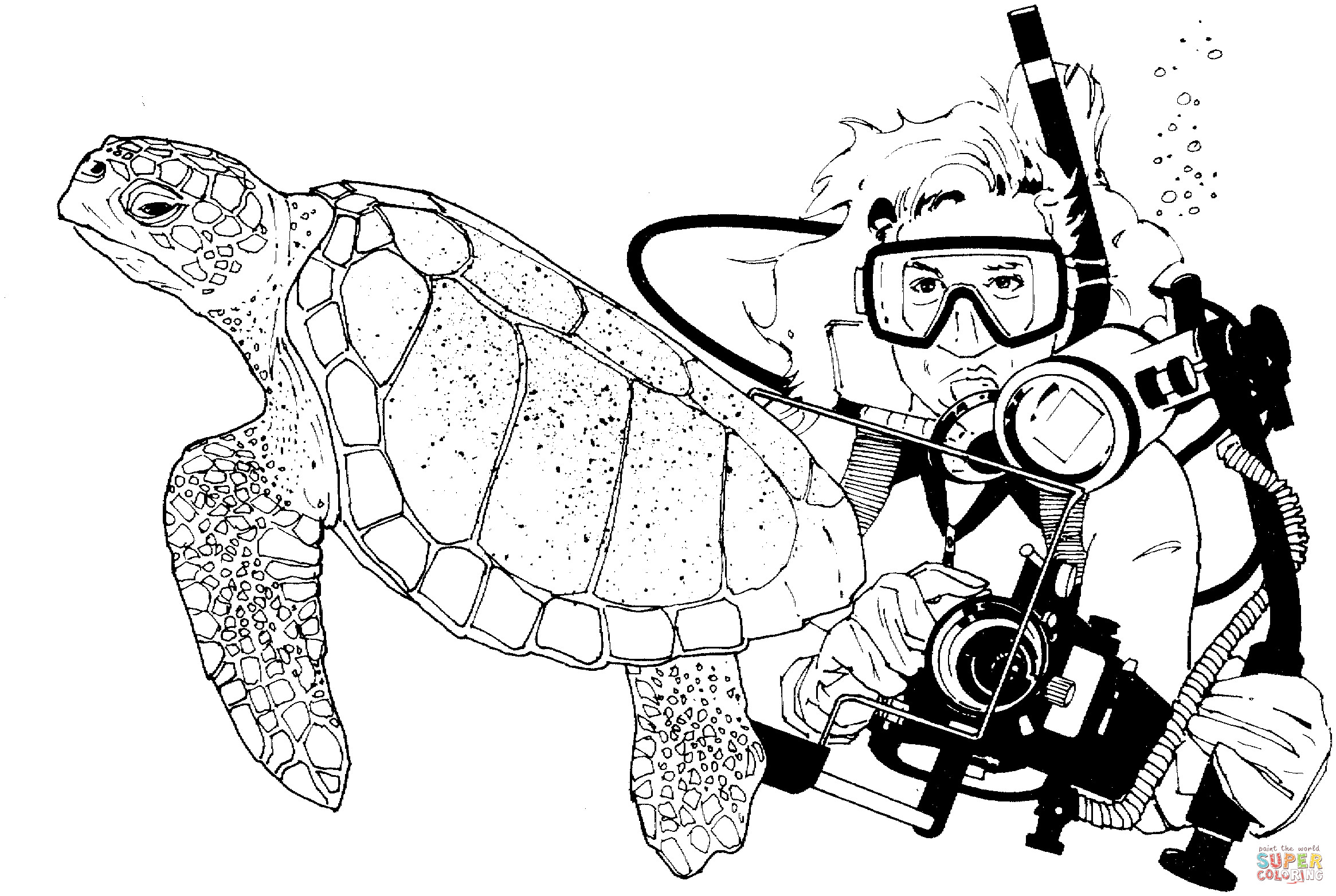 Girl Turtle Coloring Pages
 Green Sea Turtle and Scuba Diver coloring page