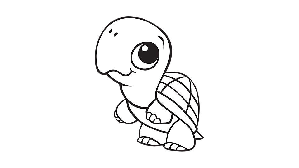 Girl Turtle Coloring Pages
 Learning Friends Turtle coloring printable