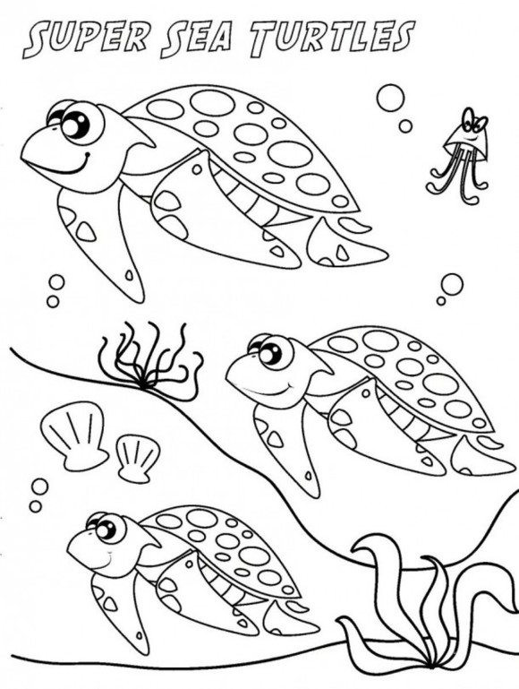 Girl Turtle Coloring Pages
 Sea Turtle Coloring Page Printable