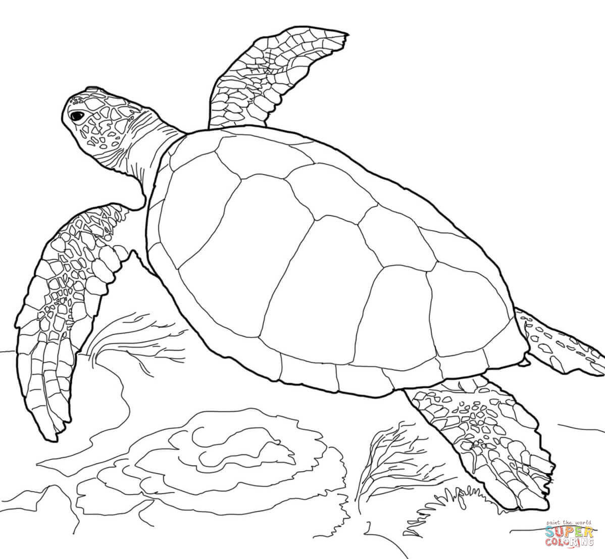 Girl Turtle Coloring Pages
 Loggerhead Sea Turtle Coloring Thumb