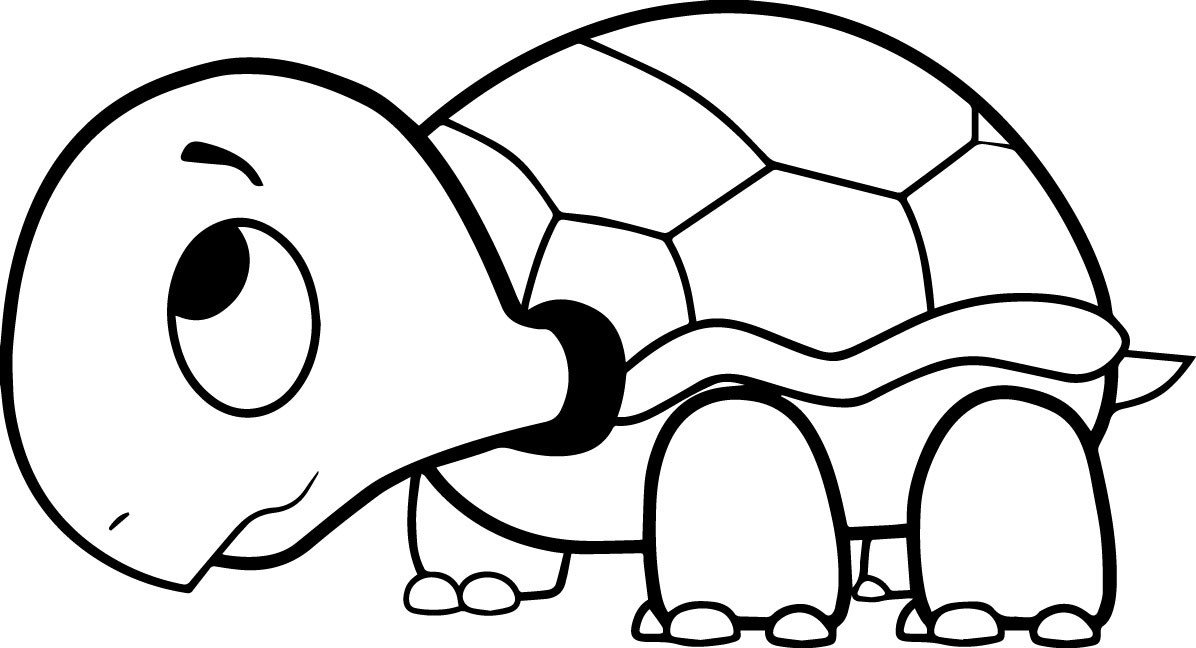 Girl Turtle Coloring Pages
 Coloring Pages For Teens