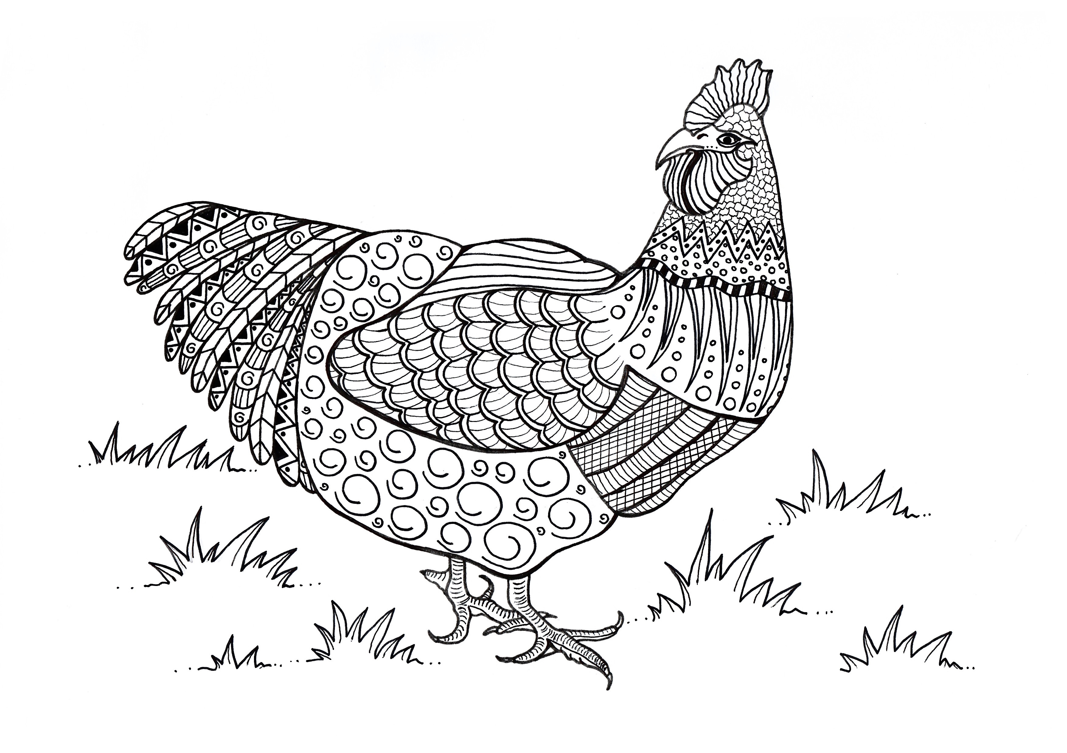 Girls Are Not Chicks Coloring Book
 FREE Adult Coloring Pages Happiness is Homemade