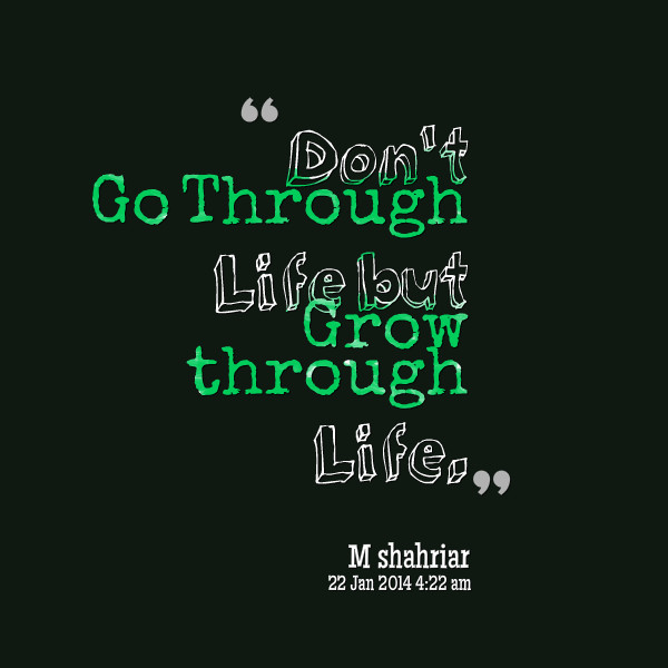 Going Through Life Quotes
 Quotes About Going Through Life QuotesGram