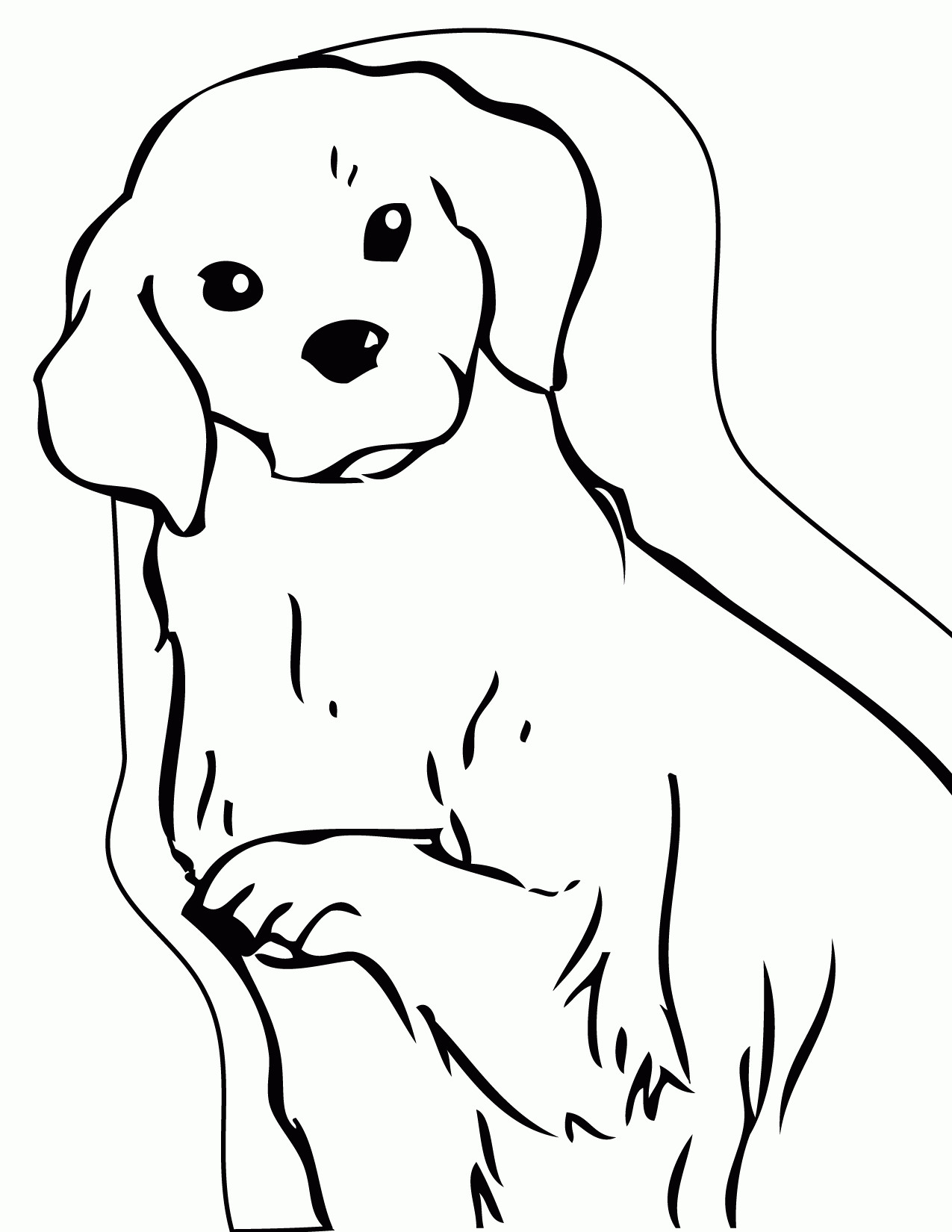 Golden Retriever Coloring Pages
 Golden Retriever Puppy Coloring Pages Printable Coloring