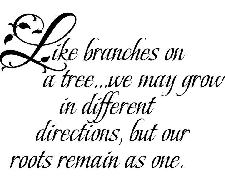 Great Quotes About Family
 great family quote for photo wall display agine tree