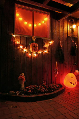 Halloween Home Party Ideas
 Halloween House Party Decorations – Festival Collections