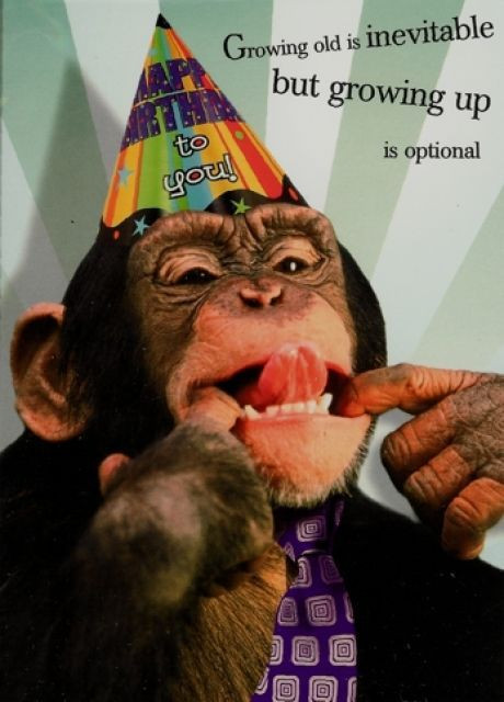 Happy Birthday Adult Funny
 Happy Birthday to the Monkey in my life PARIS Let s
