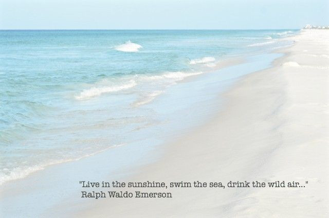 Happy Birthday Beach Quotes
 144 best images about Quotes and Inspiration on Pinterest