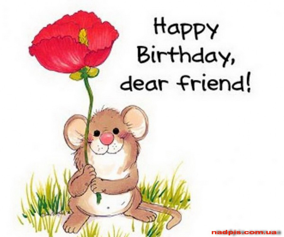 Happy Birthday Friendship Quotes
 Happy Birthday Best Friend Quotes & Sayings