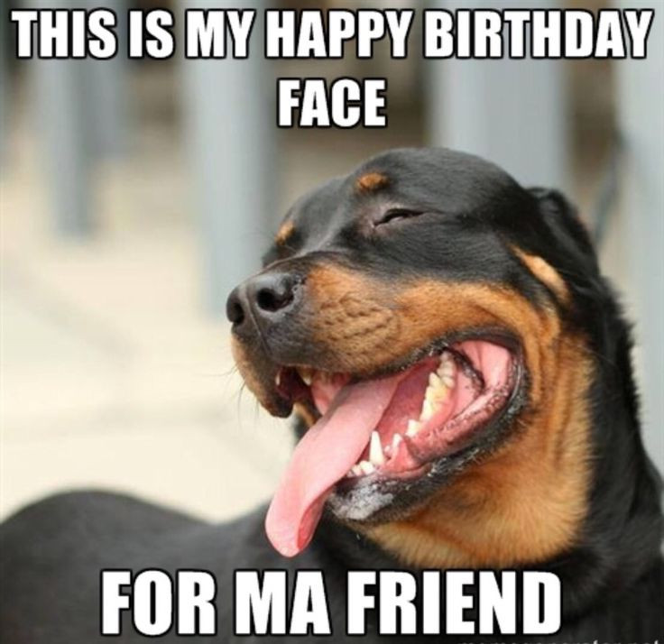 Happy Birthday Funny For Her
 20 Funny Happy Birthday Memes