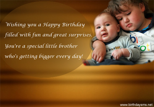 Happy Birthday Lil Brother Funny
 LITTLE BROTHER QUOTES FUNNY image quotes at hippoquotes