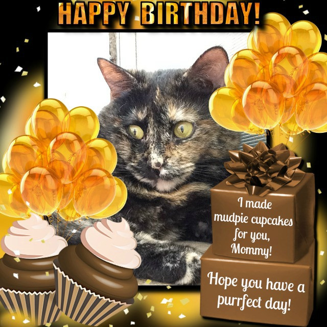 Happy Birthday Melissa Funny
 Melissa s Mochas Mysteries and Meows It s Mommy s