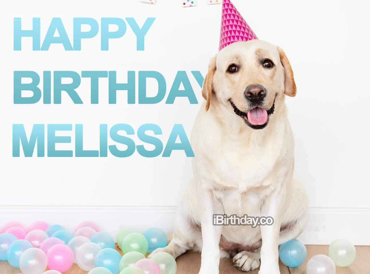 Happy Birthday Melissa Funny
 HAPPY BIRTHDAY MELISSA MEMES WISHES AND QUOTES