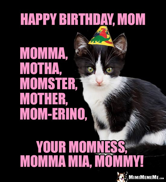 Happy Birthday Mom Meme Funny
 Happy Birthday Mom Funny Party Animals Wish Mommy Mother