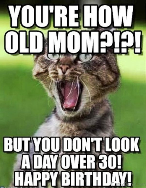 Happy Birthday Mom Meme Funny
 Happy Birthday Mom Meme Quotes and Funny for Mother