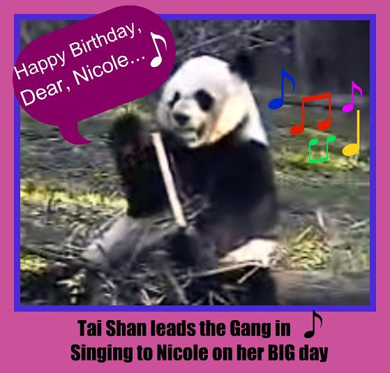 Happy Birthday Nicole Funny
 Happy Birthday Nicole