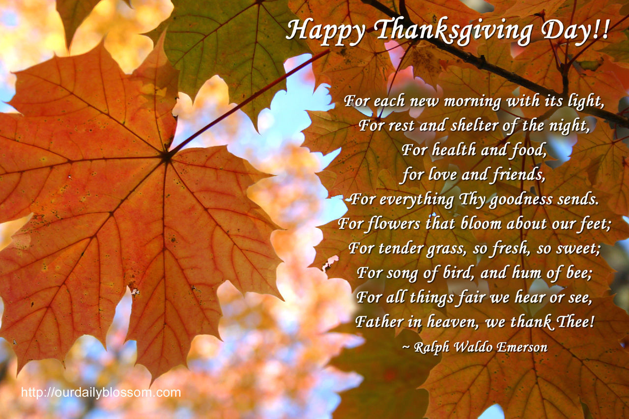 Happy Thanksgiving Quote
 Happy Thanksgiving Day s and for