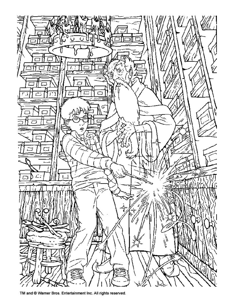 Harry Potter Coloring Book
 Albus dumbledore and harry potter coloring pages