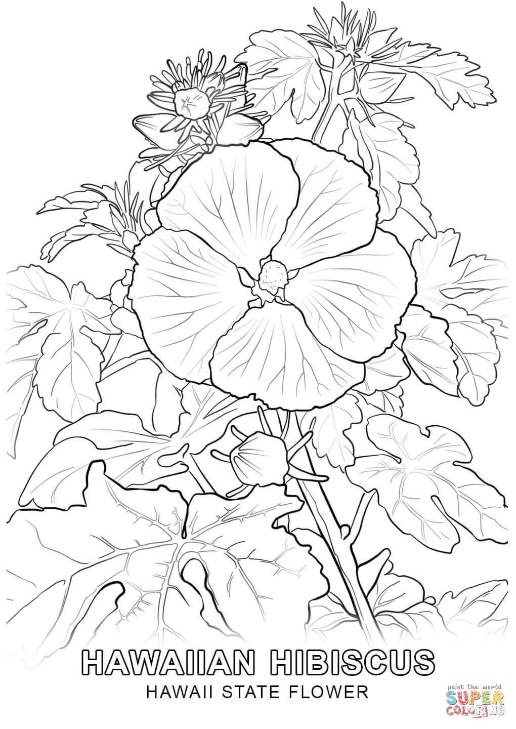 Hawaiian Flower Coloring Pages Printable
 Hawaii State Flower coloring page