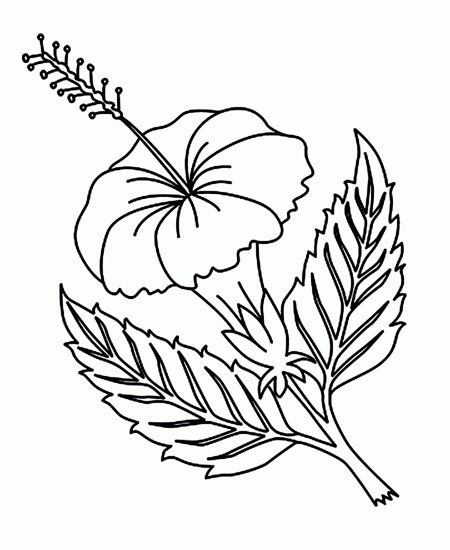 Hawaiian Flower Coloring Pages Printable
 Printable Coloring Pages Hawaiian Flowers Coloring Home
