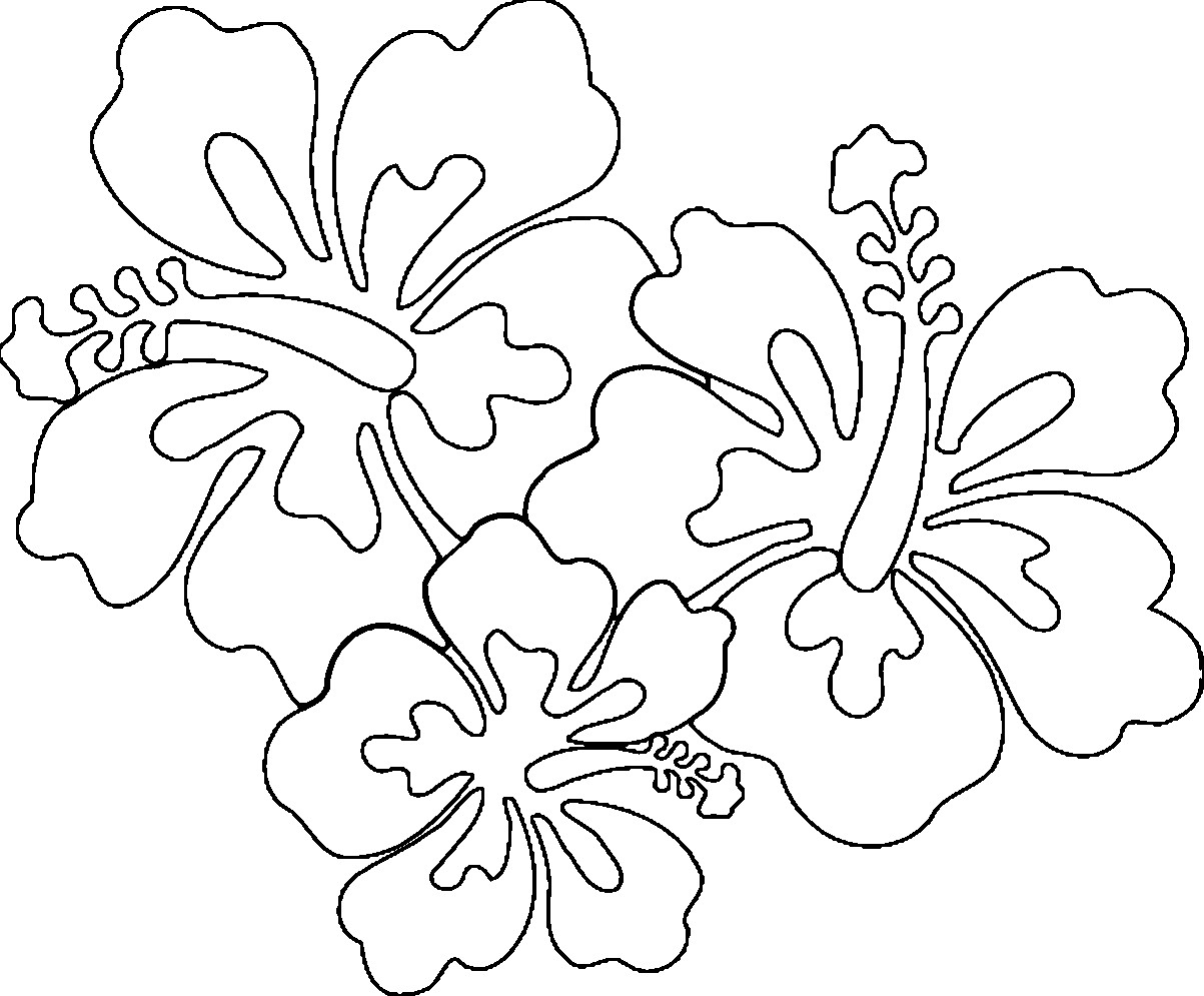 Hawaiian Flower Coloring Pages Printable
 Hawaiian Flowers Coloring Page Coloring Home