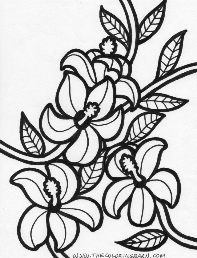 Hawaiian Flower Coloring Pages Printable
 Printable Hawaiian Coloring Pages Coloring Home