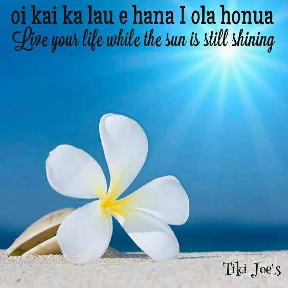 Hawaiian Quotes About Life
 Hawaiian Quotes About Friendship QuotesGram