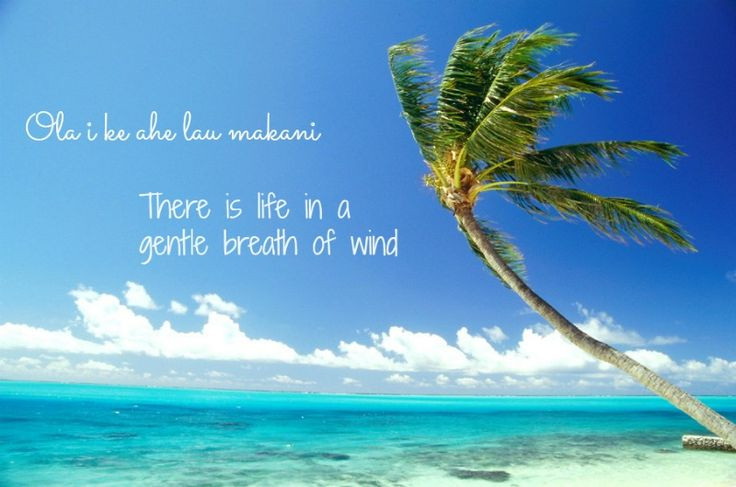Hawaiian Quotes About Life
 Inspirational Hawaiian Quotes Hawaiian Proverbs QuotesGram