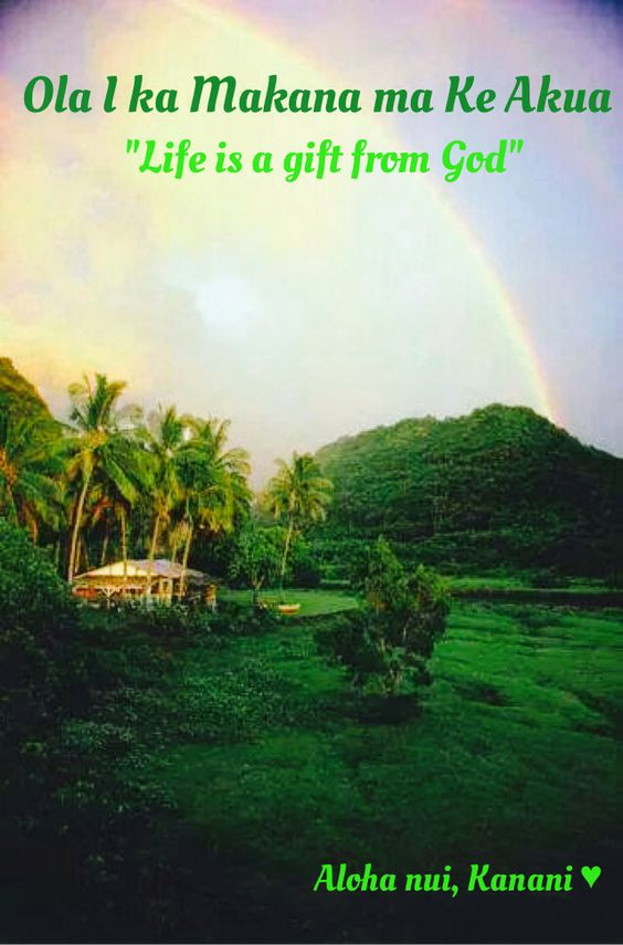Hawaiian Quotes About Life
 Hawaiian sayings Gifts and Life on Pinterest