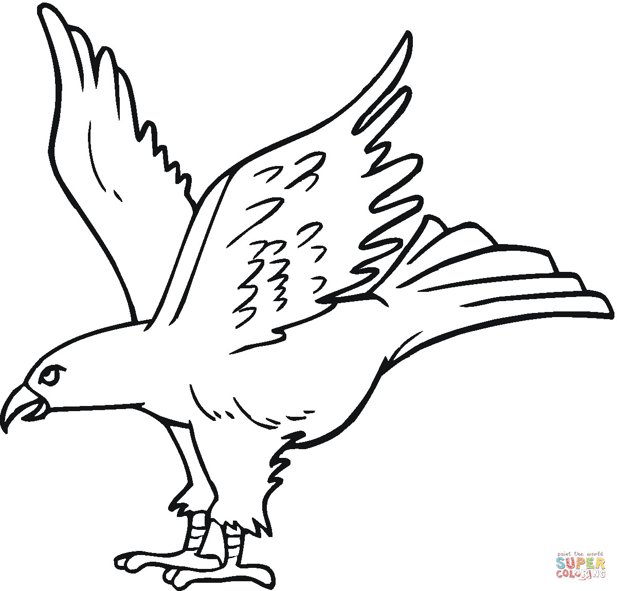 Hawk Coloring Pages
 Hawk 15 coloring page