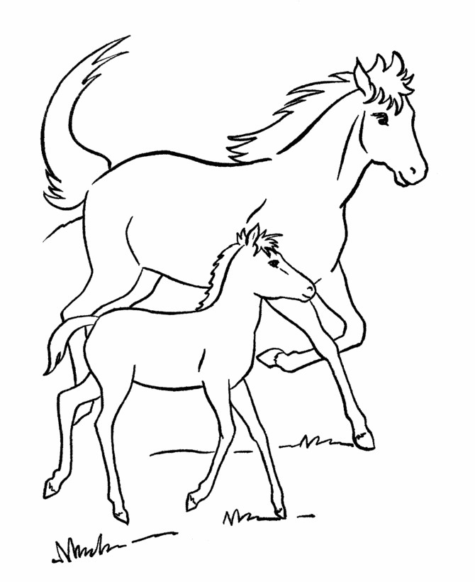 Horse Coloring Pages Printable
 Spirit Horse Racing Coloring Pages