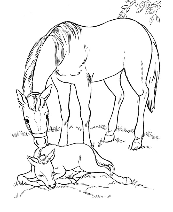 Horse Coloring Pages Printable
 Coloring Pages for Kids Horse Coloring Pages