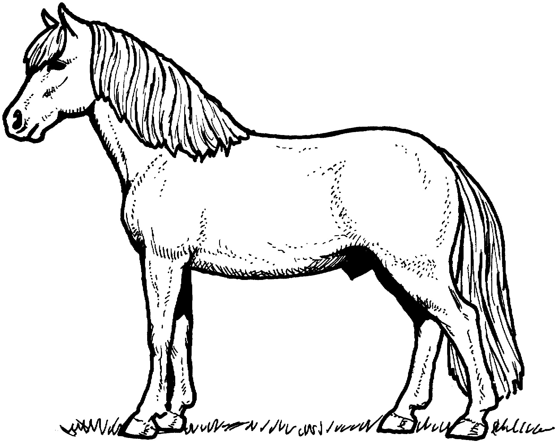 Horse Coloring Pages Printable
 Free Horse Coloring Pages