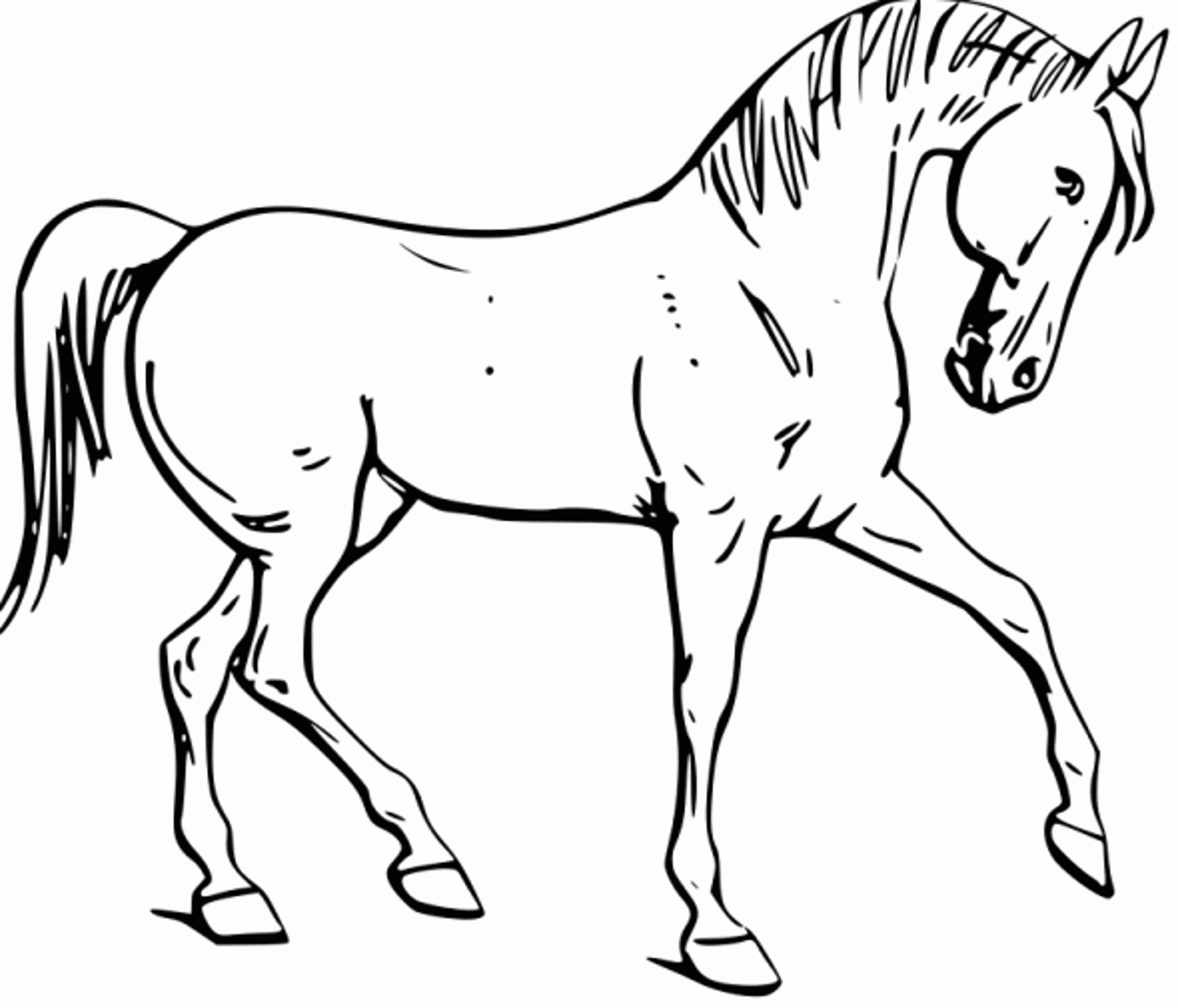 Horse Coloring Pages Printable
 Fun Horse Coloring Pages for Your Kids Printable