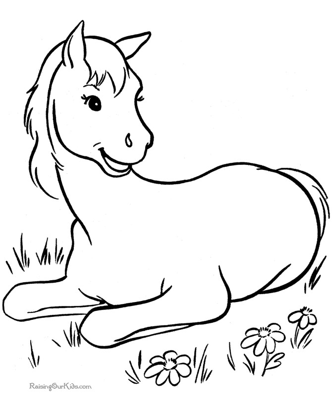 Horse Coloring Pages Printable
 Horse Coloring Pages For Adults Coloring Home