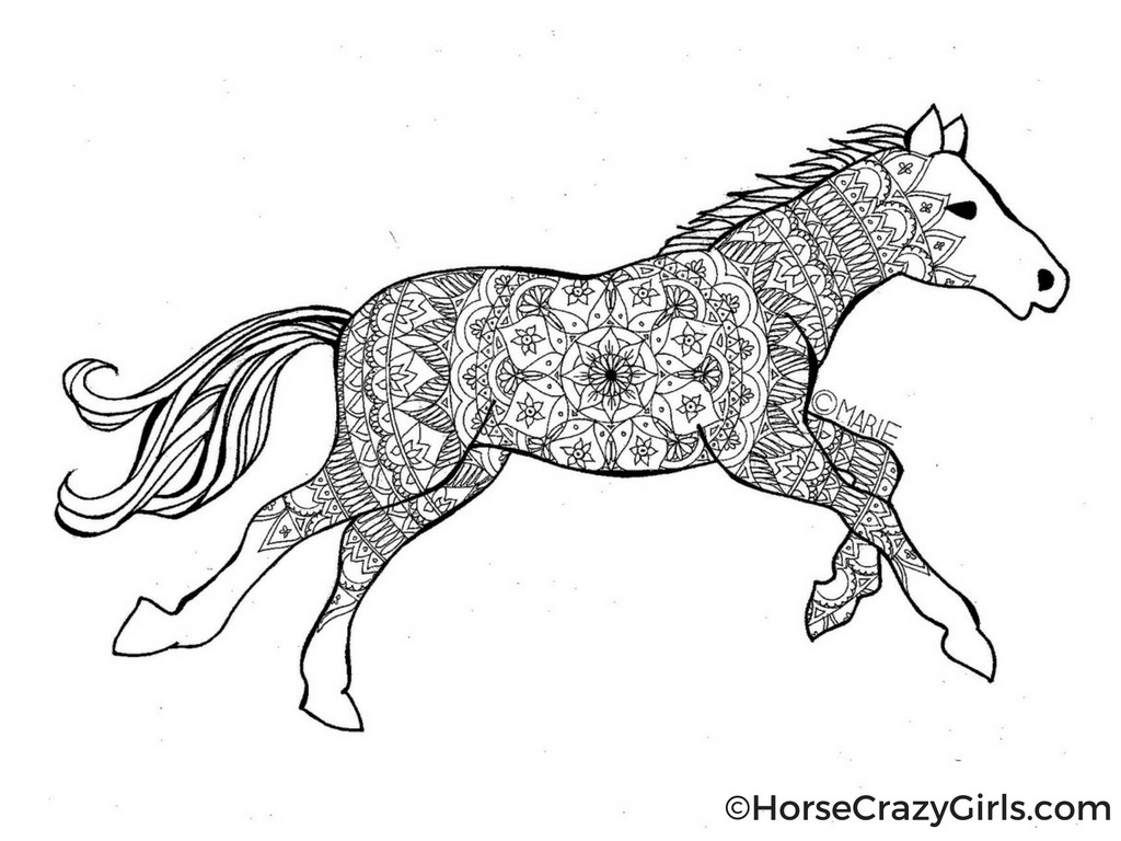 Horse Coloring Pages Printable
 Horse Coloring Pages and Printables