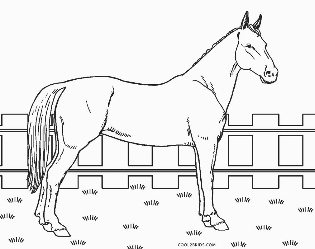 Horse Coloring Pages Printable
 Free Printable Horse Coloring Pages For Kids