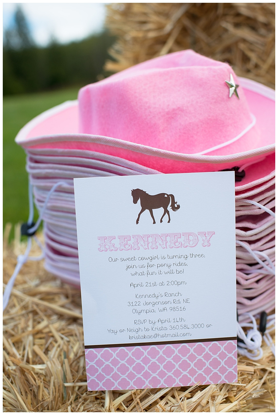 Horse Themed Birthday Party
 A Pink and Brown Pony Party Hoopla Events