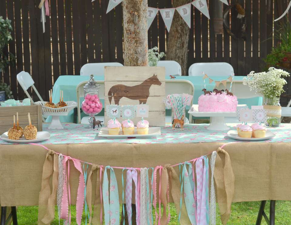 Horse Themed Birthday Party
 Horse Burlap Pony Floral Pink Teal cowgirl third